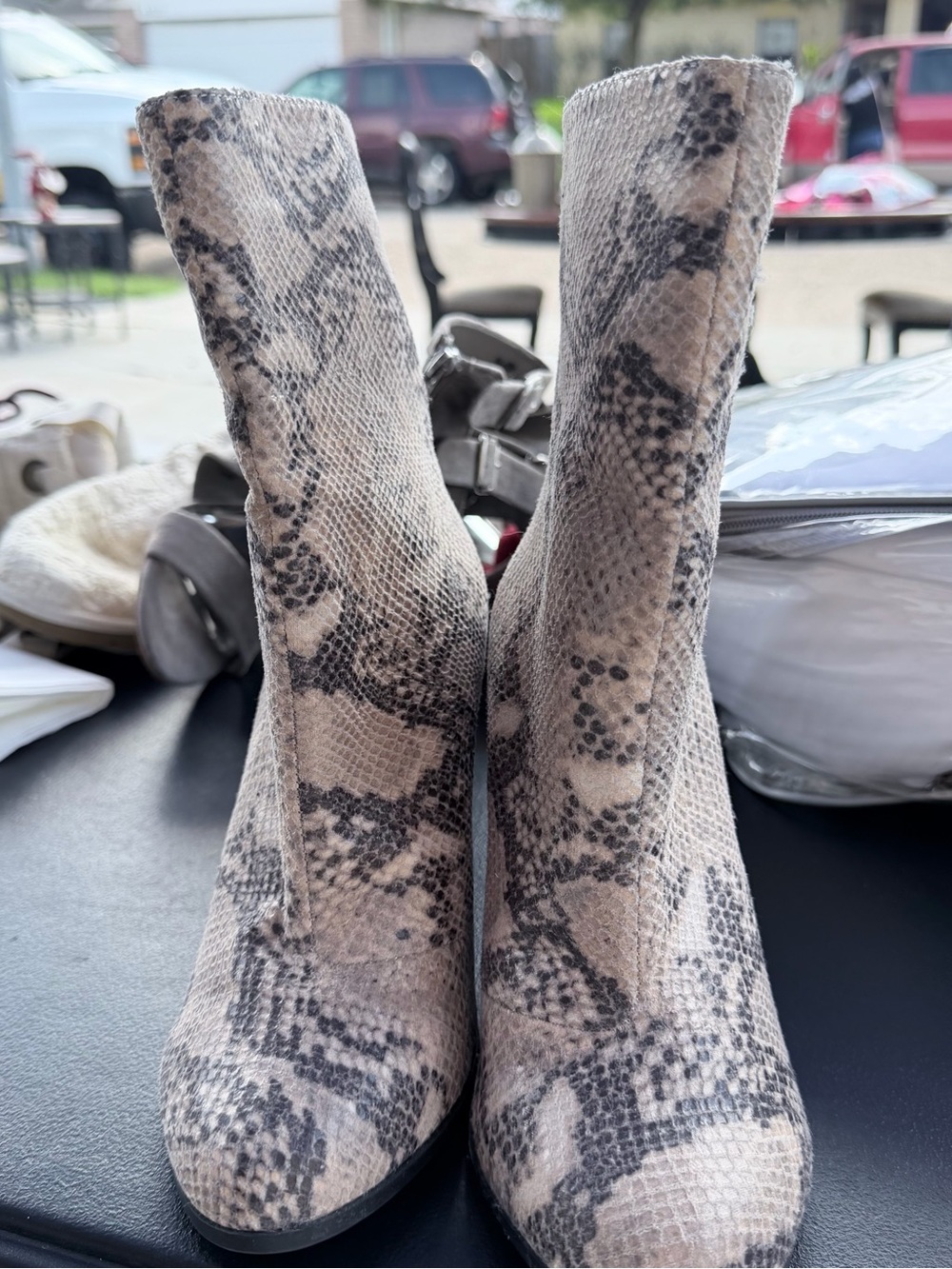 A+ Ellen Snake-Print Ankle Boots in Beige and Black